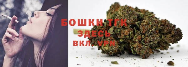 амф Осинники