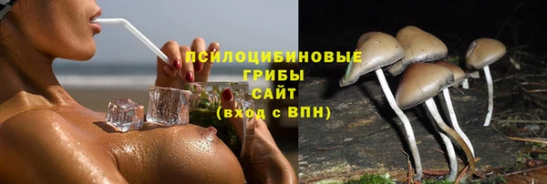 гидропоника Осташков
