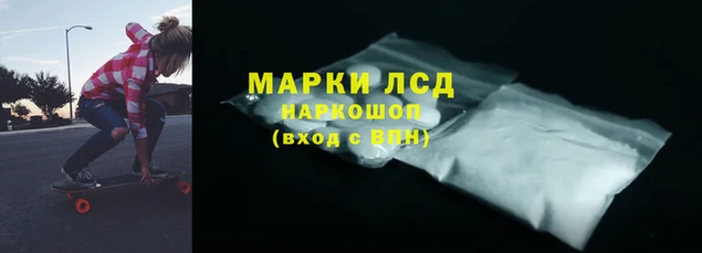 амф Осинники