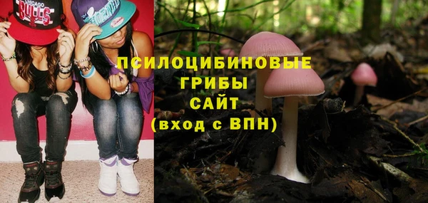 ECSTASY Переславль-Залесский