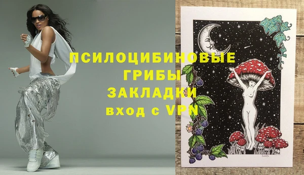 не бодяженный Пересвет