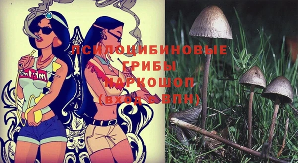 альфа пвп Пестово