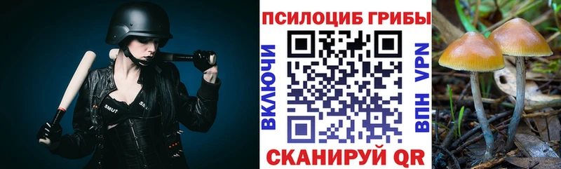 хочу наркоту  Яхрома  Псилоцибиновые грибы прущие грибы 